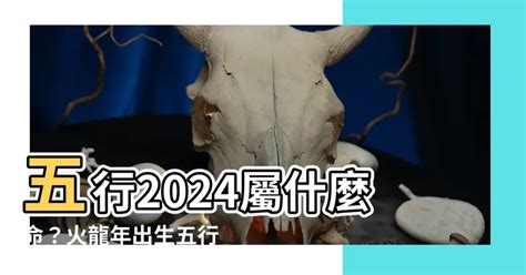 2024五行運勢|【2024年五行】2024年五行之謎：木土相剋之年，掌。